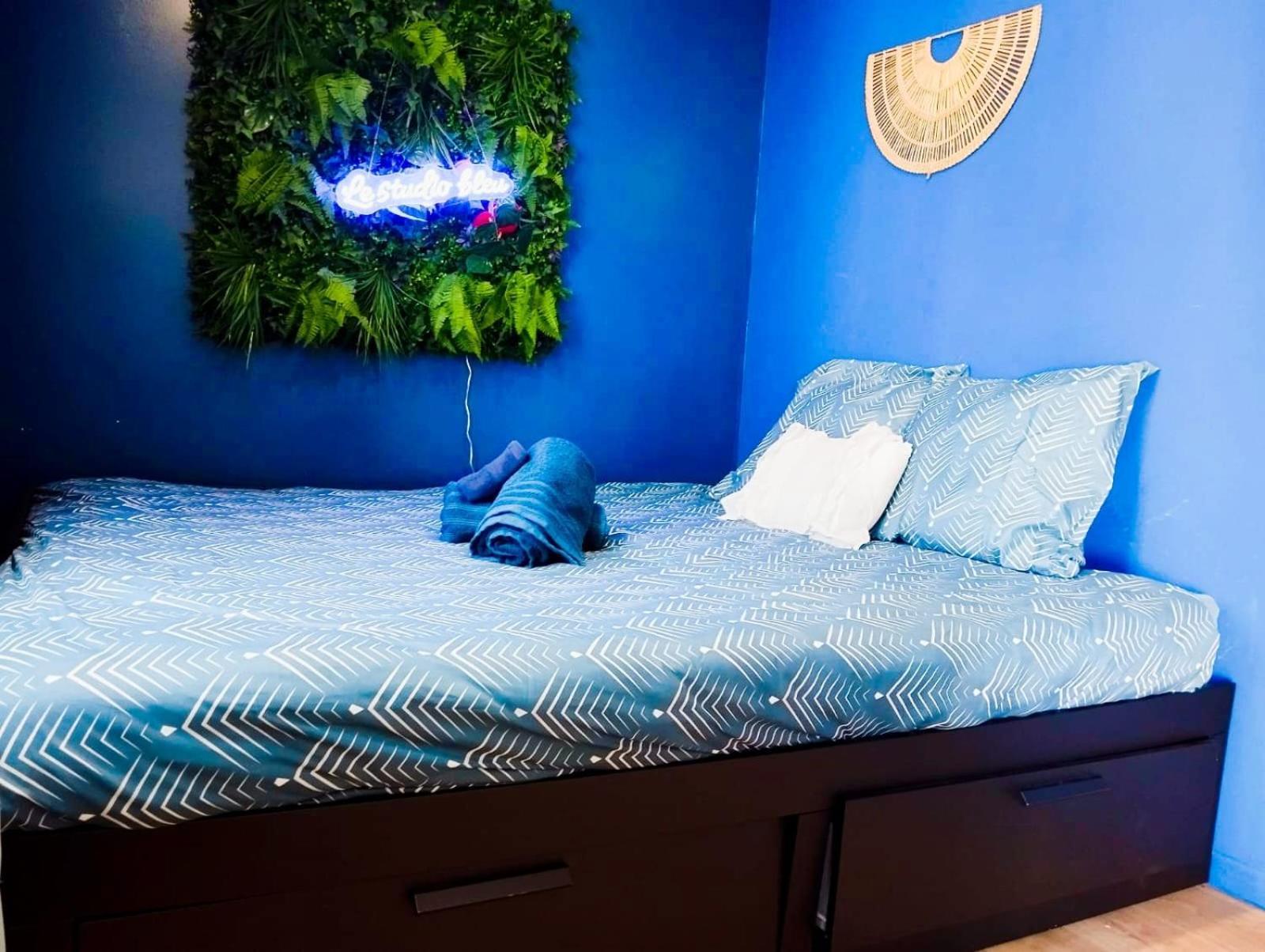 Bleu, Ideal Pour Faire Halte A 2 Min Du Centre Apartment